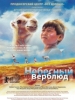 Небесный верблюд